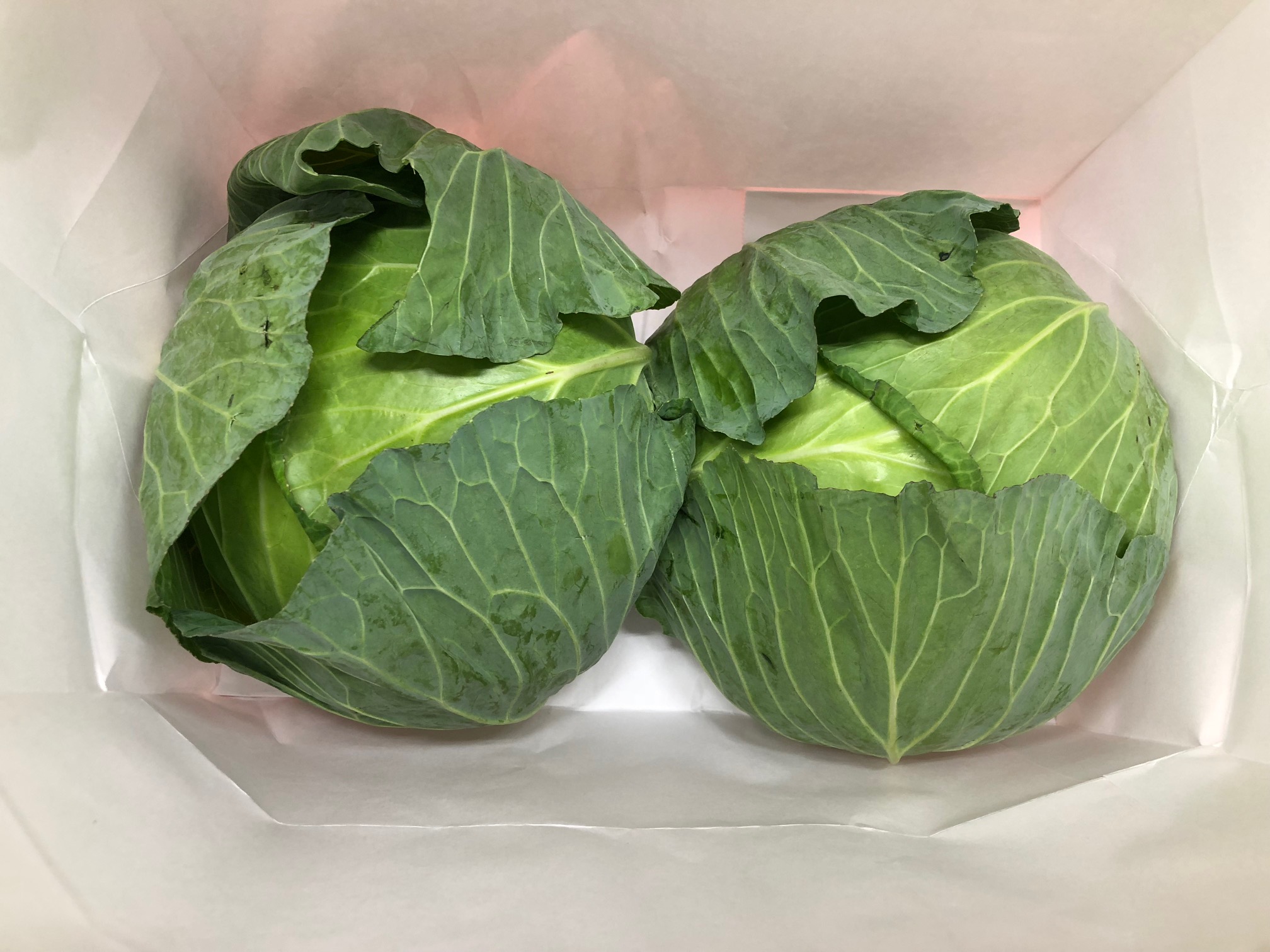 差し入れありがとうございます。