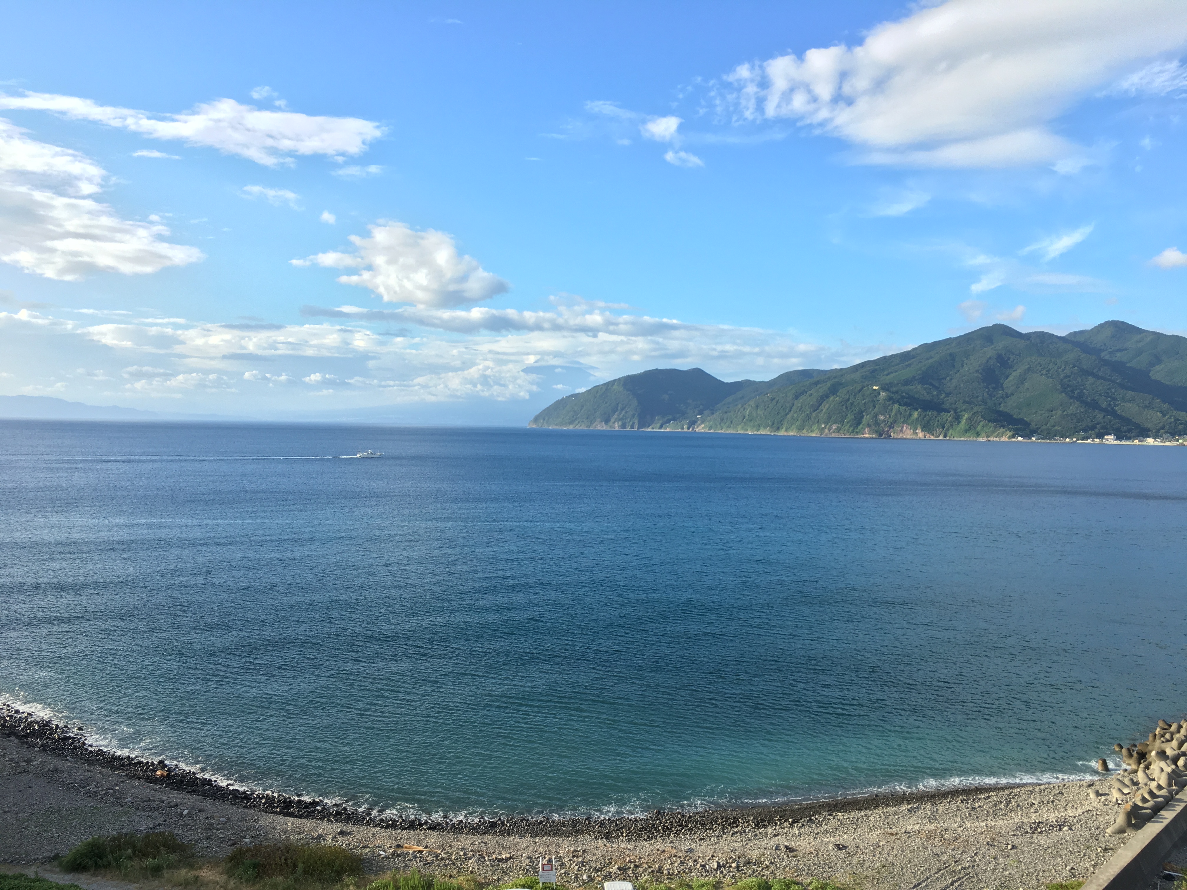 夏休み♪