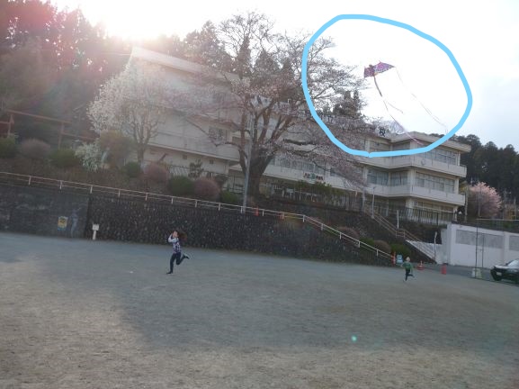 桜も満開が近いですね。